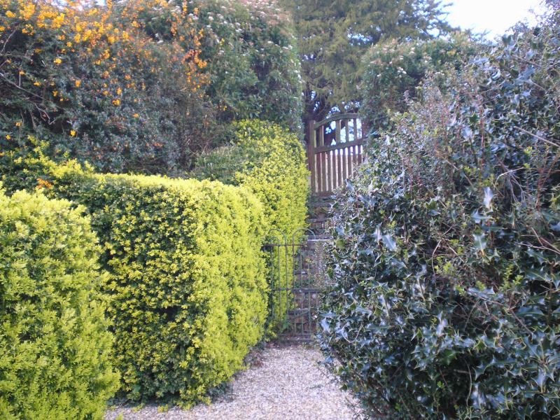 Upton Castle Gardens